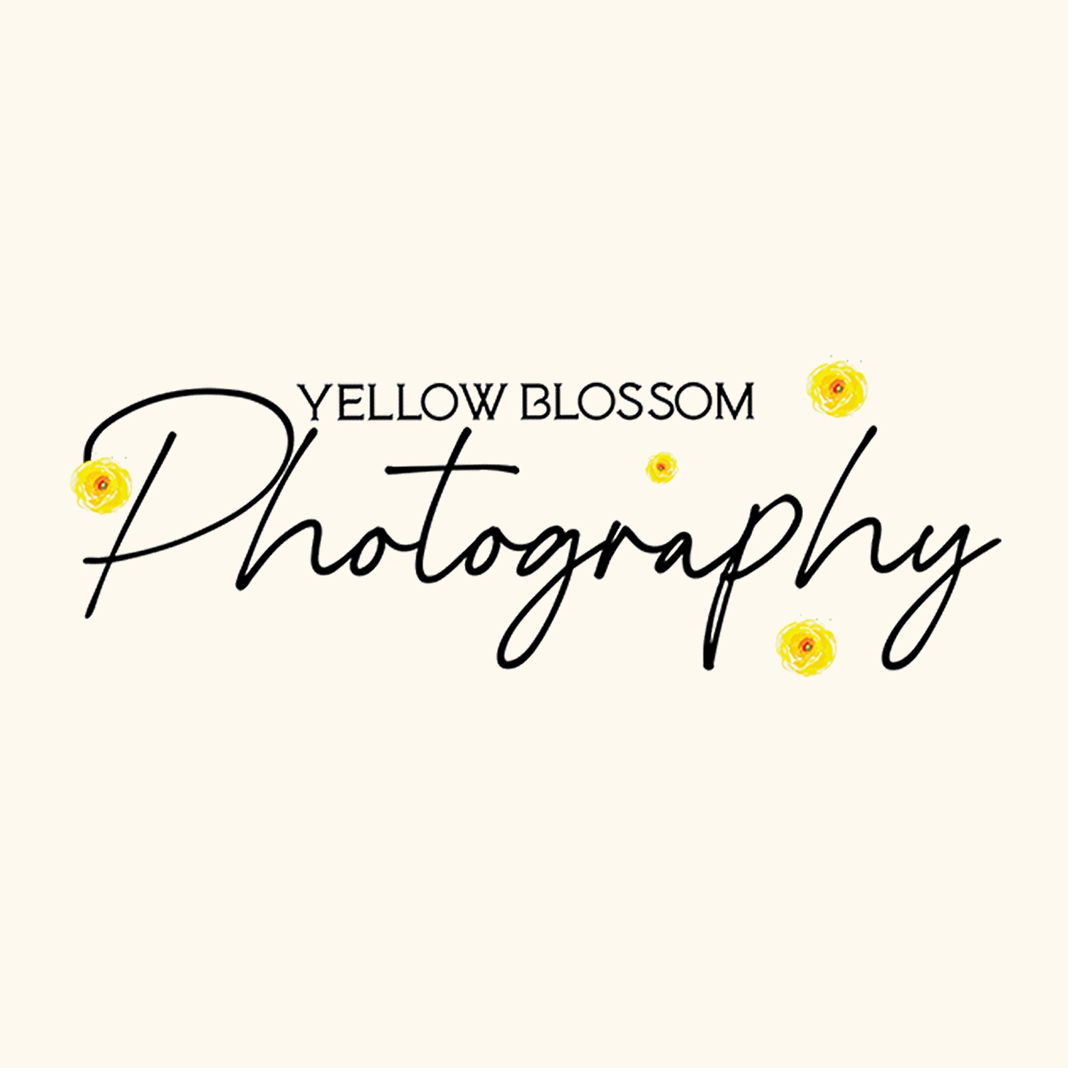 Yellow Blossom Photography